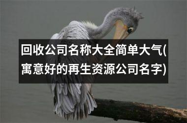 h3/p回收公司名称大全简单大气(寓意好的再生资源公司名字)