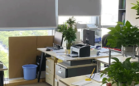 公司取名字大全免费查询2023