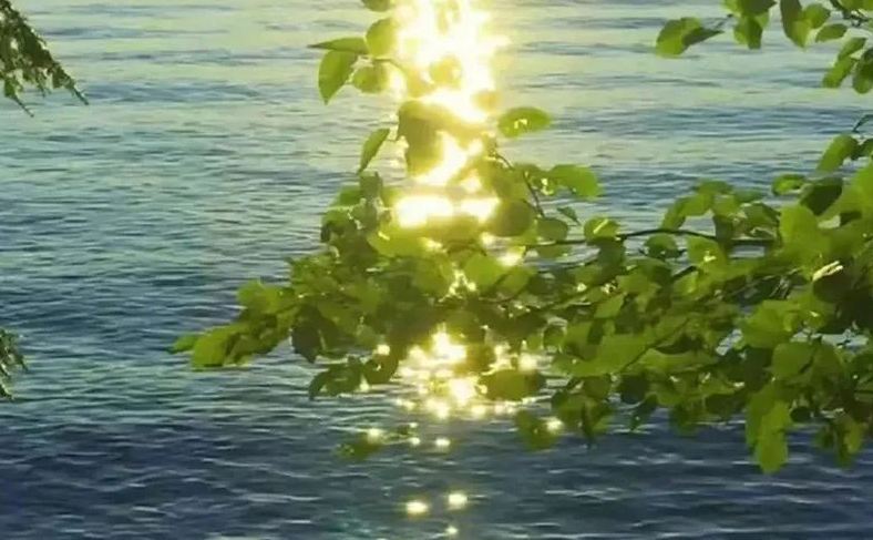 简单好记的教育咨询公司名字有哪些呢?本文为您分享60个简单好记的教育咨询公司名字，一起来看看吧!  简单好记的教育咨询公司名字(分享60个)  启智咨询  优学教育  智达咨询  启行教育  乐学优询  慧途咨询  优启教育  智航咨询  启萌教育  卓学咨询  明途教育  智芽咨询  优效咨询  启思教育  慧学咨询  学优教育  智跃咨询  启路教育  乐智咨询  优途教育  智点咨询  启星教育  慧达咨询  学启教育  智享咨询  启辰教育  优慧咨询  智途教育  启学咨询  乐达教育  慧启咨询  学卓教育  智明咨询  启优教育  慧乐咨询  学慧教育  智卓咨询  启慧教育  优乐咨询  学智教育  智启咨询  启卓教育  慧优咨询  学途教育  智乐咨询  启达教育  优智咨询  学星教育  智途咨询  启点教育  慧卓咨询  学辰教育  智享教育  启路咨询  优卓咨询  学思教育  智明教育  启萌咨询  慧途教育  学优咨询  以上 60 个教育咨询公司名字，均以 “易读、易记、贴合教育核心” 为出发点，摒弃生僻字与复杂组合，融入了 “启智、优学、慧途” 等与教育相关的正向元素，既保证了品牌的辨识度，也传递出助力成长的价值主张。  在实际选用时，可结合机构的核心业务与目标客群(家长、学生、职场人等)进一步适配，让名字与品牌定位深度契合。如想了解更多的起名信息，欢迎收藏+关注名字网。