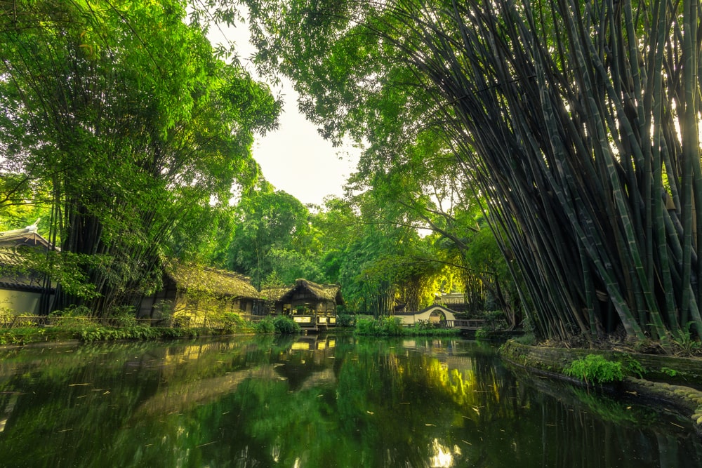 成都必去景点9：杜甫草堂