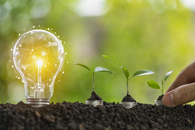 灯泡与树,生长概念图片下载