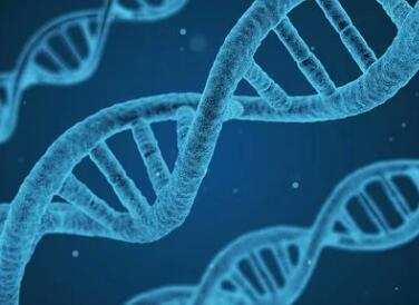 生物科技公司取名字大全免费(精选600个)