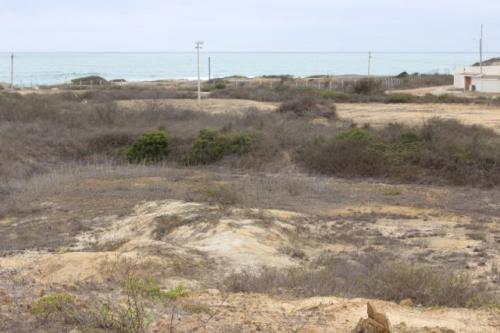 TERRENO ENORME 20.000 m2 A 20m del mar (cruzando una calle)