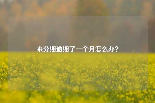 来分期逾期了一个月怎么办？